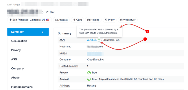 01-ipinfo-asn-hosting-fields.png