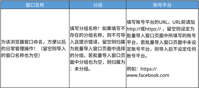 02-bitbrowser-import-template.png