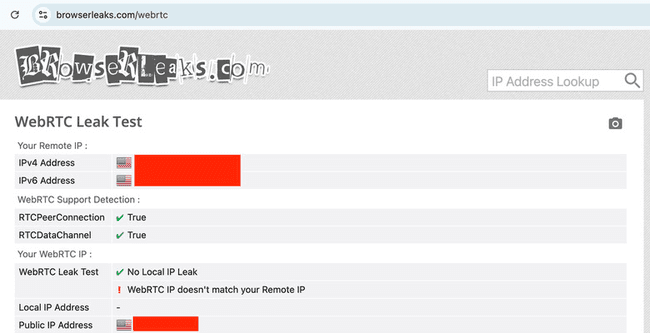 02-browserleaks-webrtc-mismatch.png