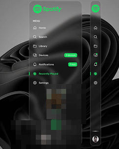 04-spotify-connect-candidate.png