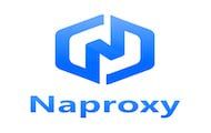Naproxy合作比特浏览器