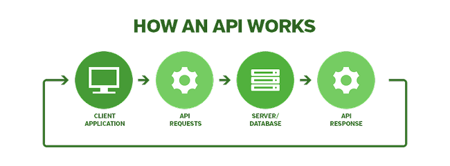 What Is A Local API? A Brief Introduction To APIs And Local APIs