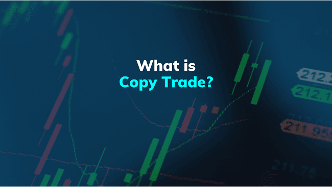 Top 5 Copy Trading Platforms You Should Know In 2024
