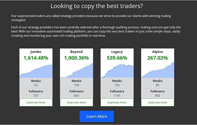 Top 5 Copy Trading Platforms You Should Know In 2024