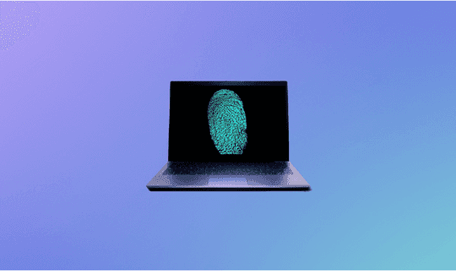 Everything You Want to Know About an Anti-detect Browser