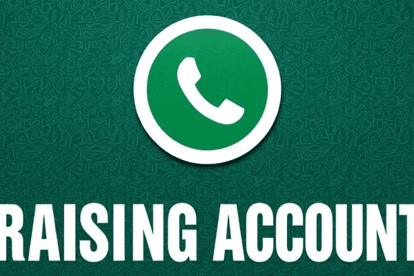 WhatsAPP养号技巧分享,快速养成高权重账号