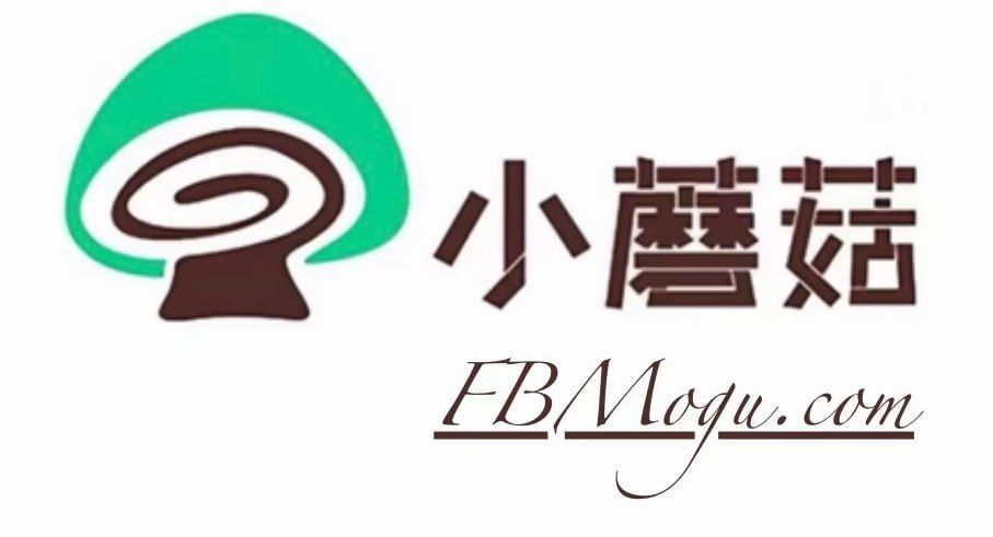 蘑菇跨境出海