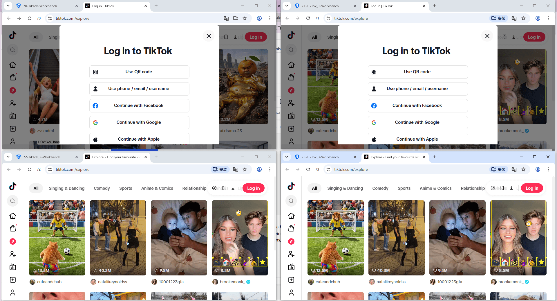 bitbrowser
