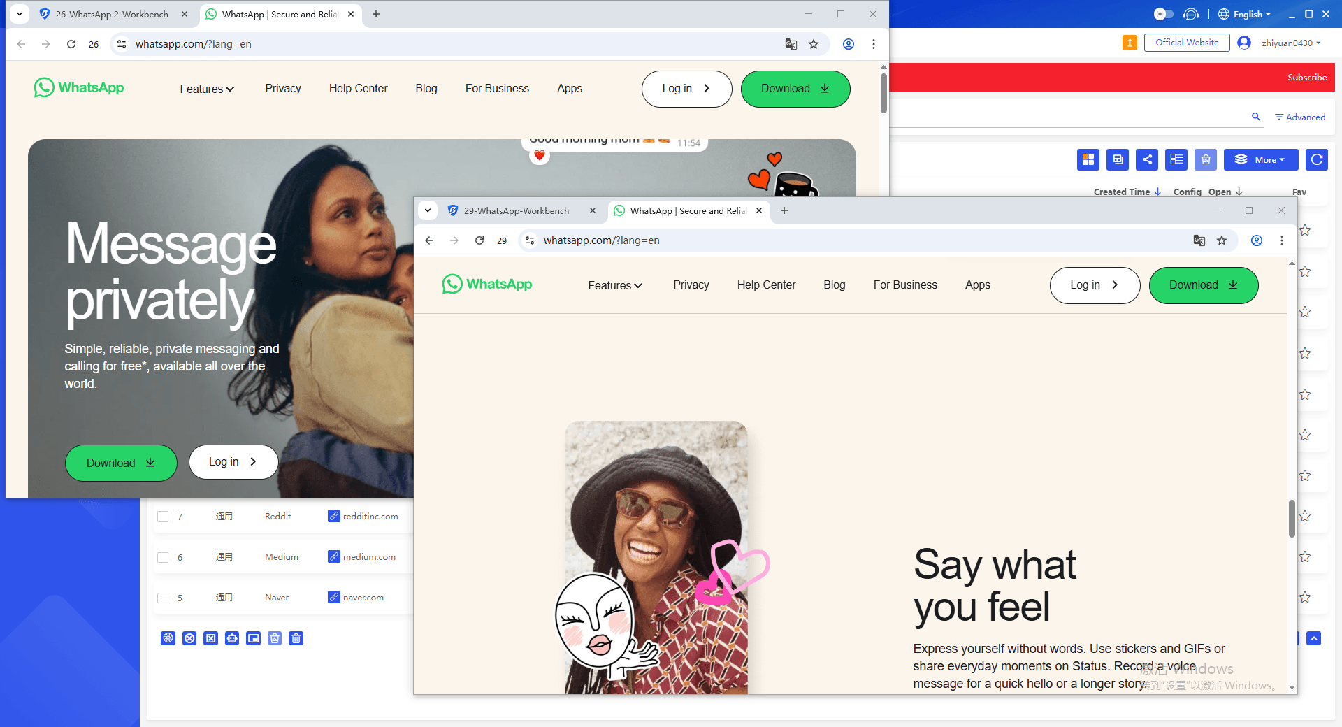 bitbrowser
