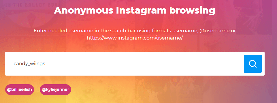 Insta Stories Viewer interface