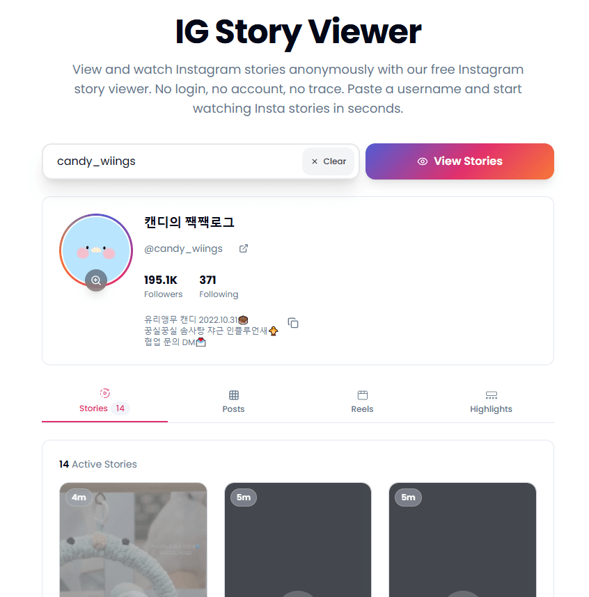 IGStoryViewer.to website interface and Story results