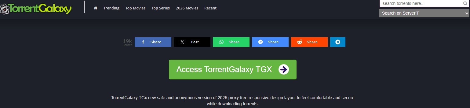 TorrentGalaxy.png