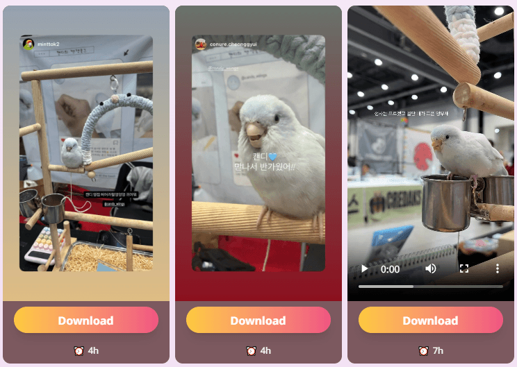 InstaStoryViewer.io Story results