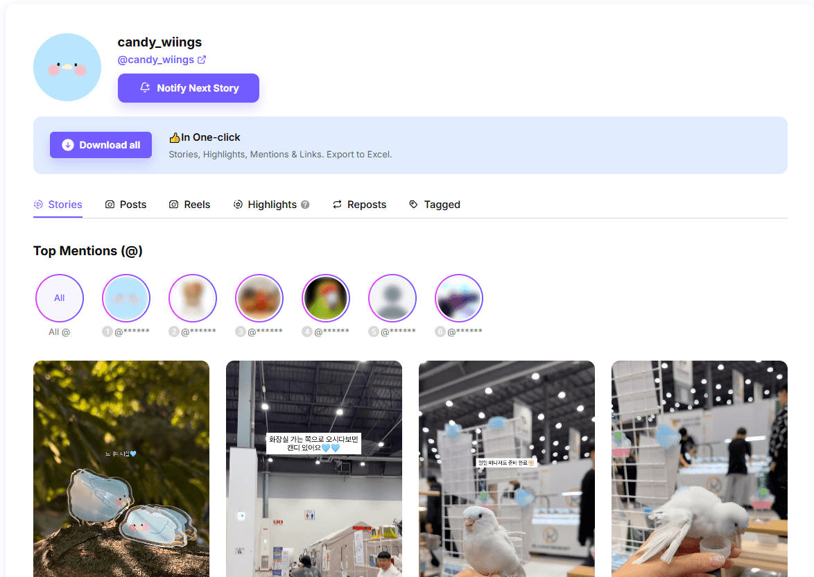 Dolphin Radar content and export options