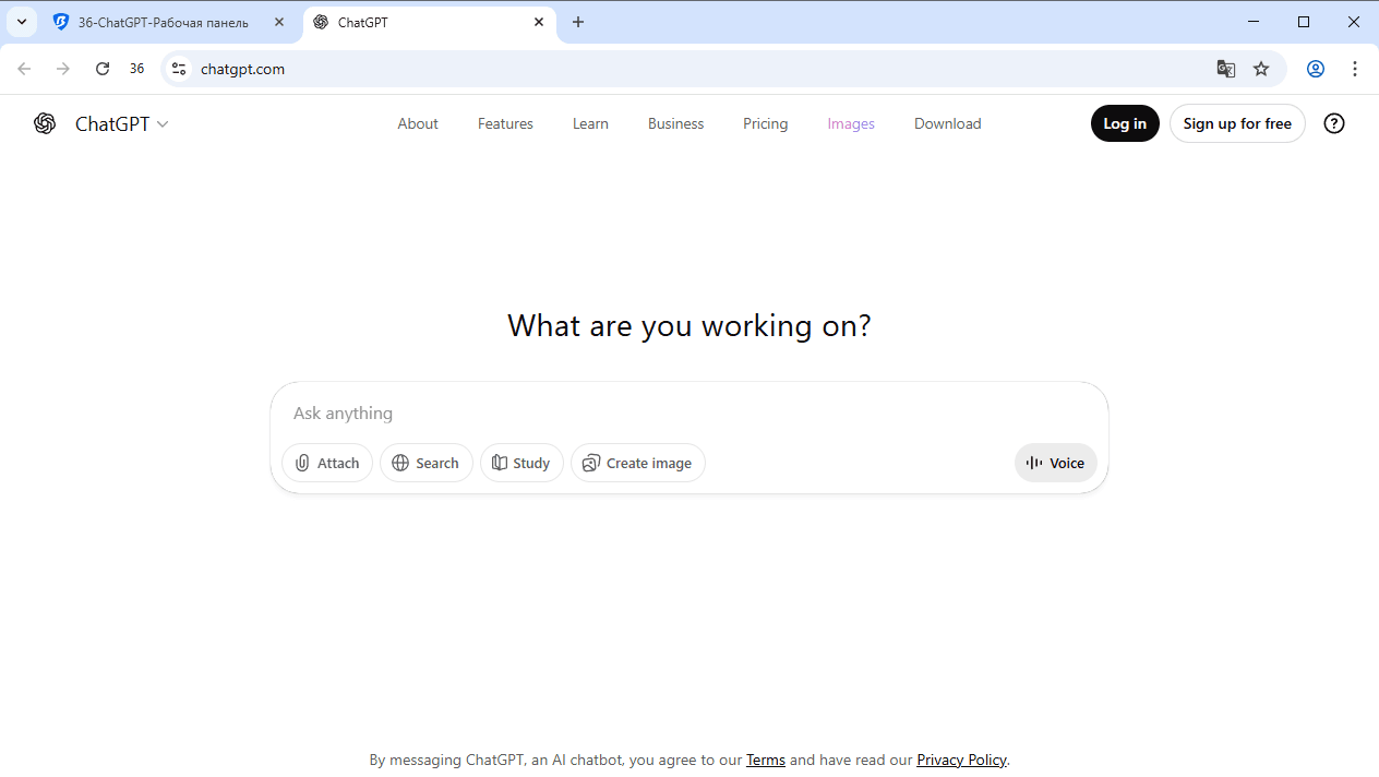 bitbrowser