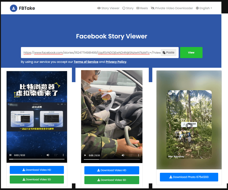captura de tela do Facebook Story Viewer