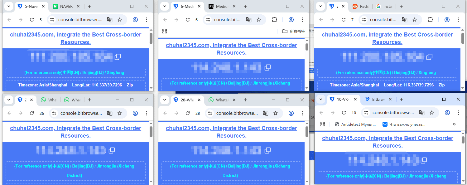 BitBrowser