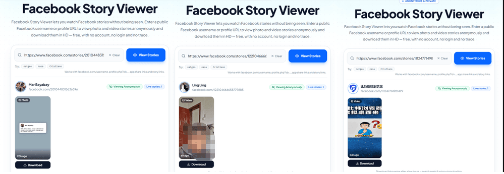 captura de tela do Facebook Story Viewer