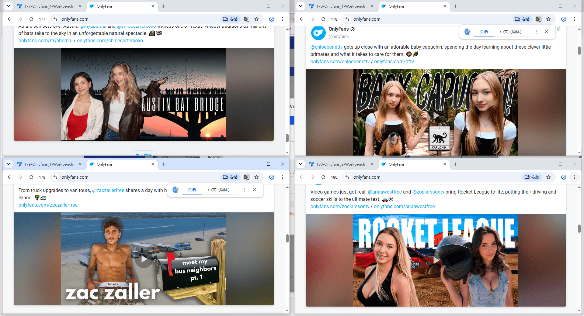 bitbrowser