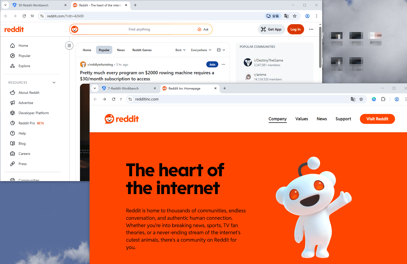bitbrowser