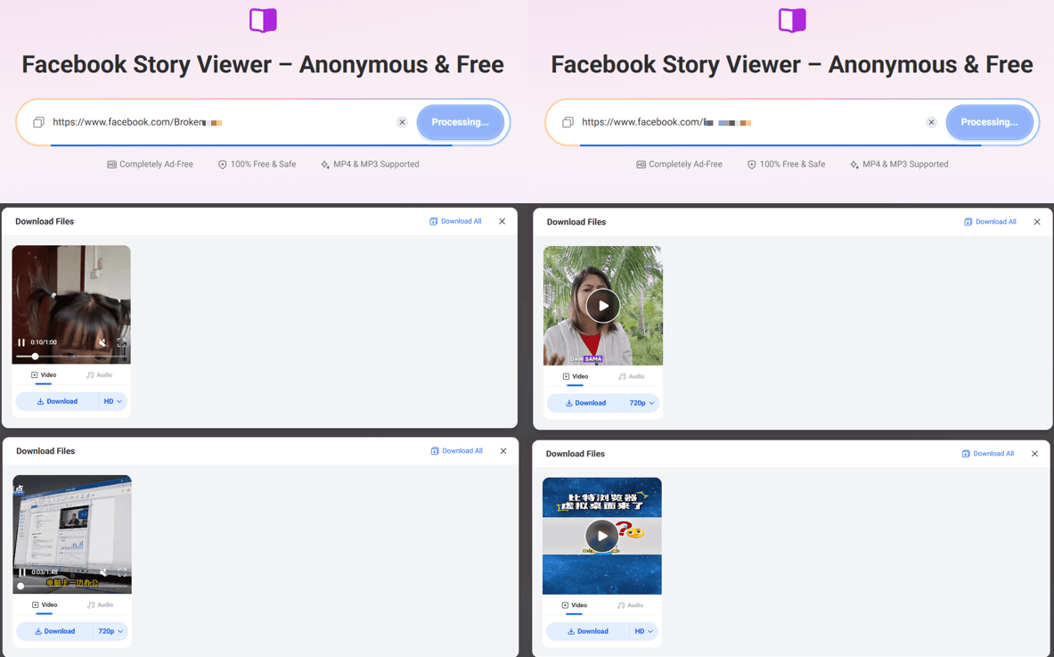 captura de tela do Facebook Story Viewer