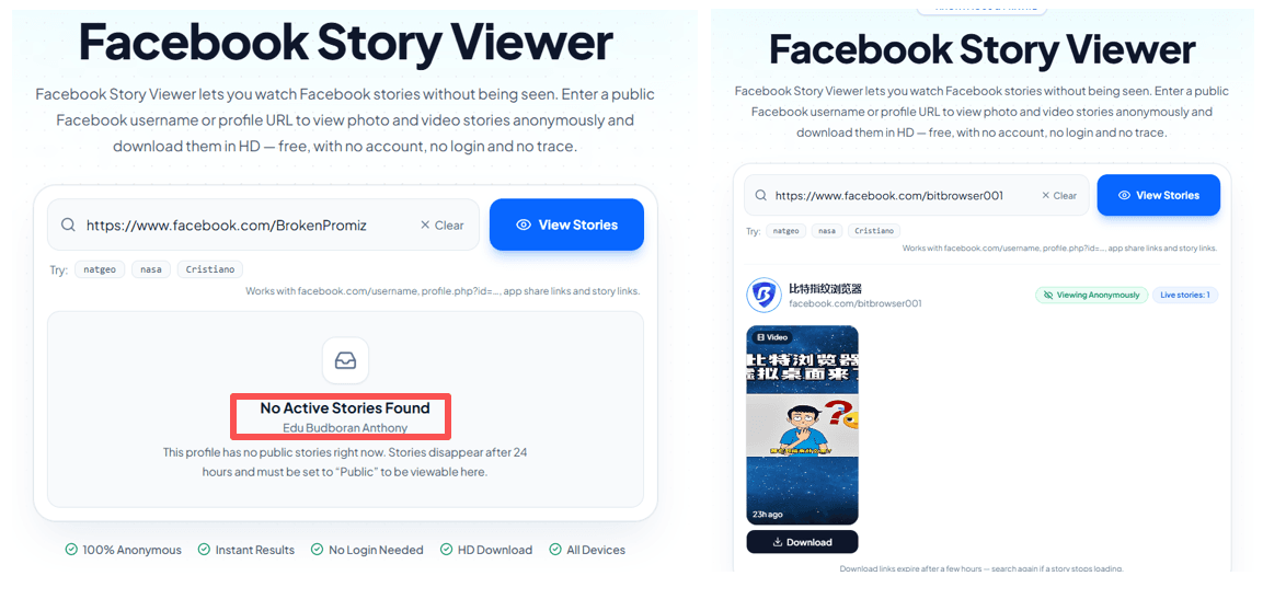 captura de tela do Facebook Story Viewer